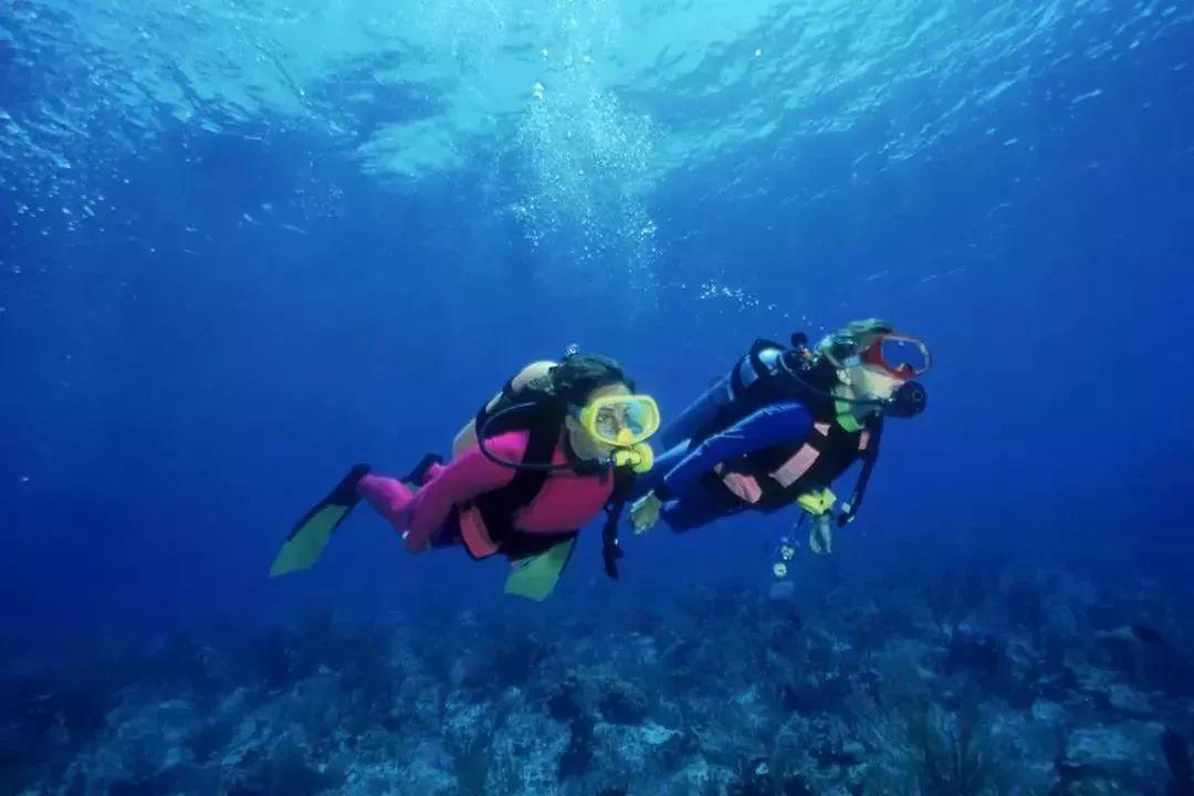 张柏芝再留洋,两中国联赛选手加盟土耳其女排