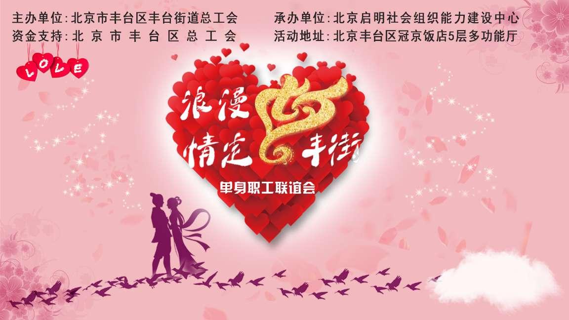 可爱小猫向上跳